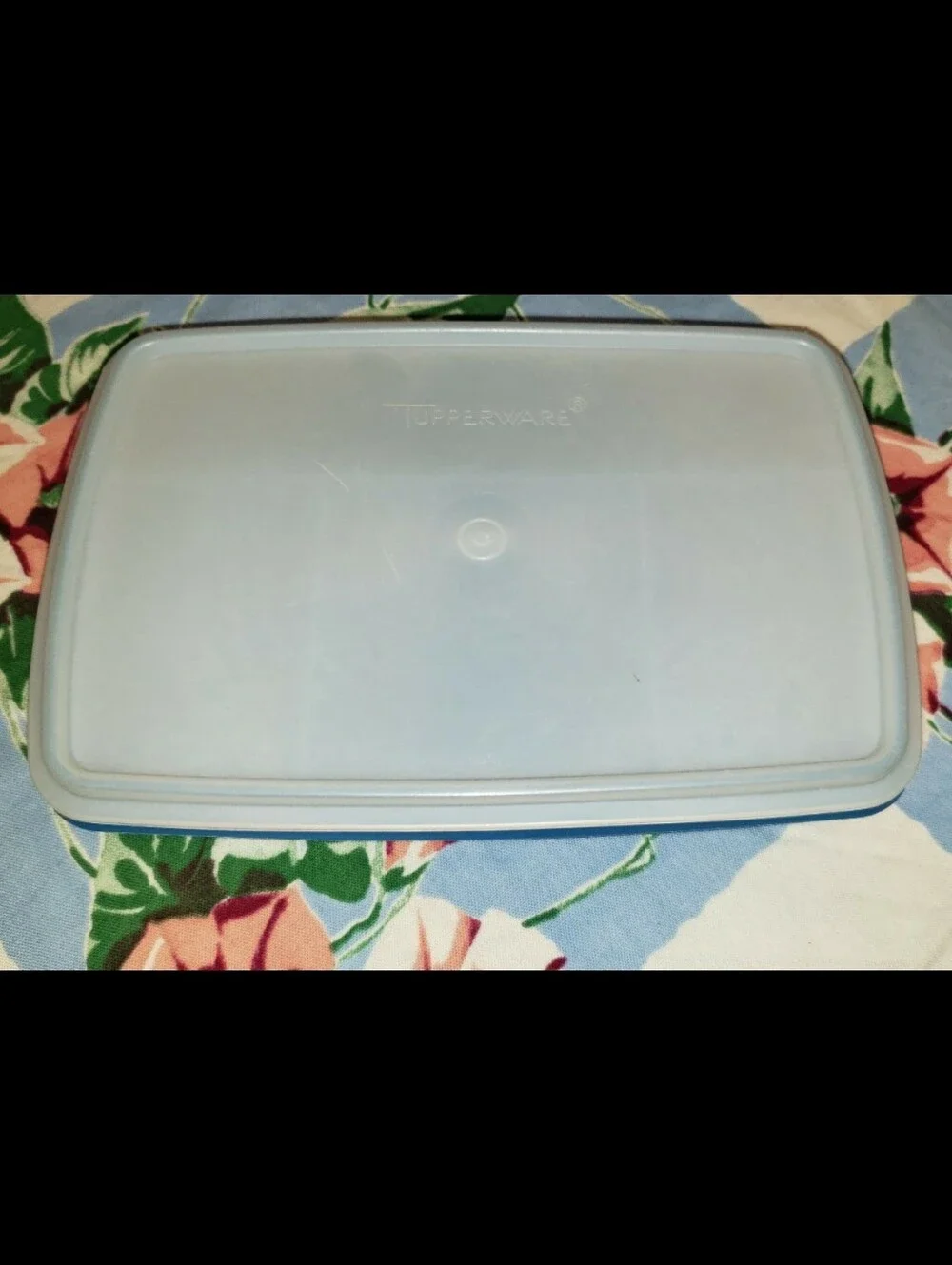 Tupperware vintage blue